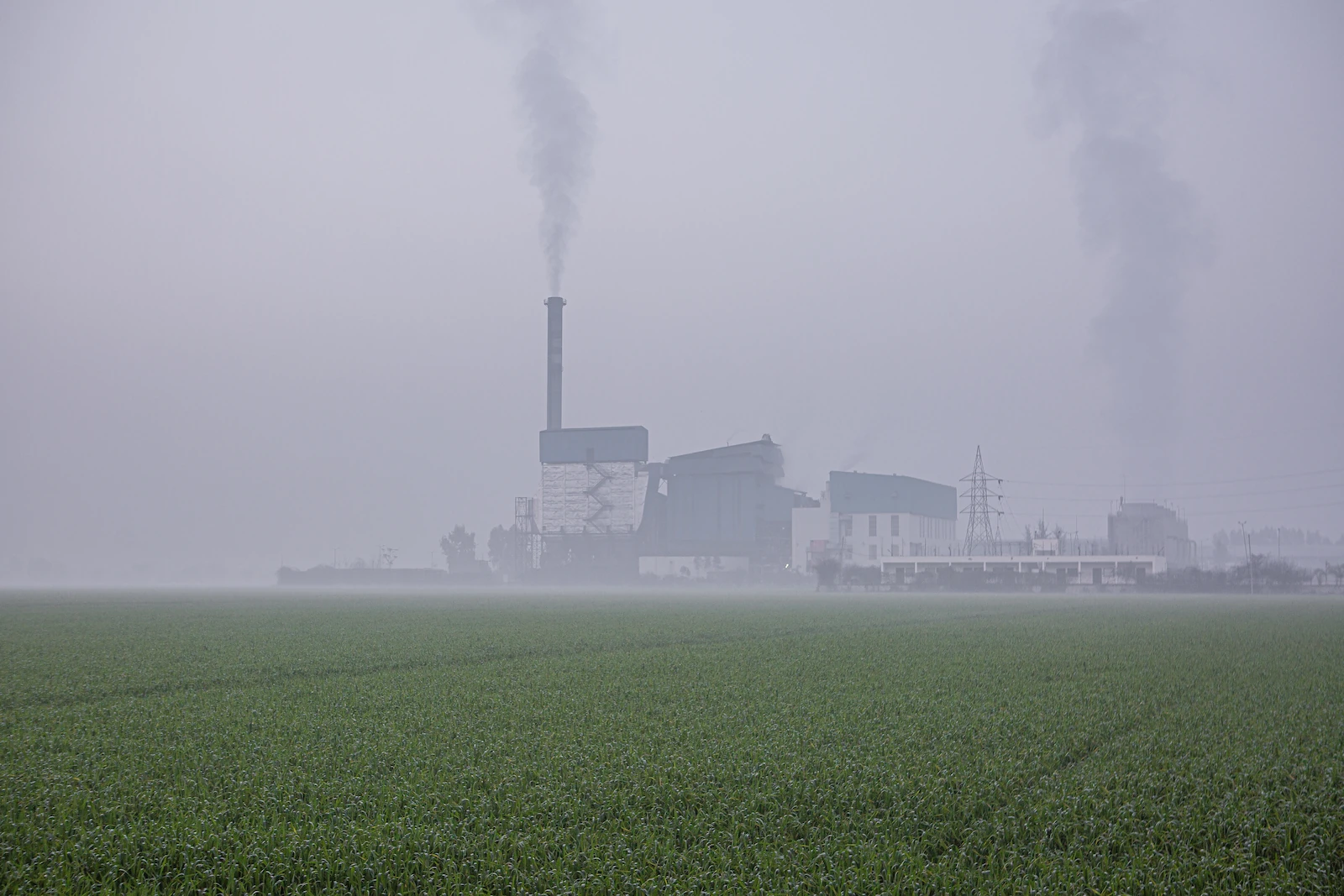 Despite the rapid addition of renewable energy capacities, India's electricity has a dark side. Three-quarters of it is generated by burning coal, causing one of the worst air quality in Asia.