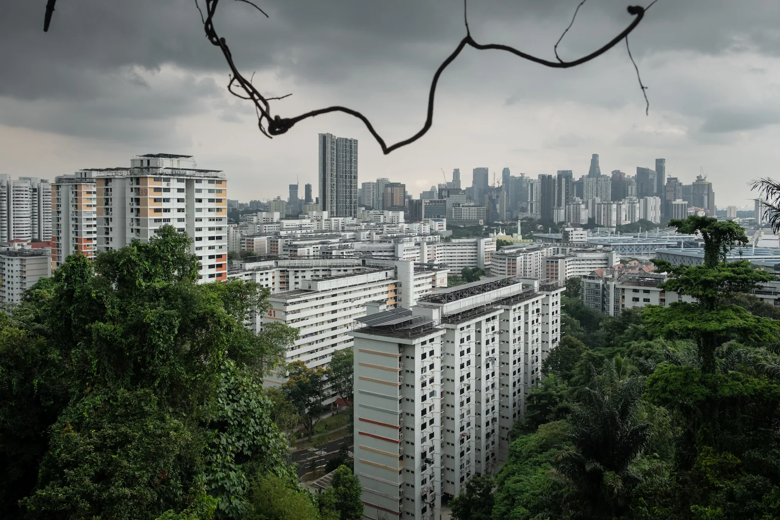 Singapore, a land-scarce island nation, accommodates one of the world’s highest population densities.