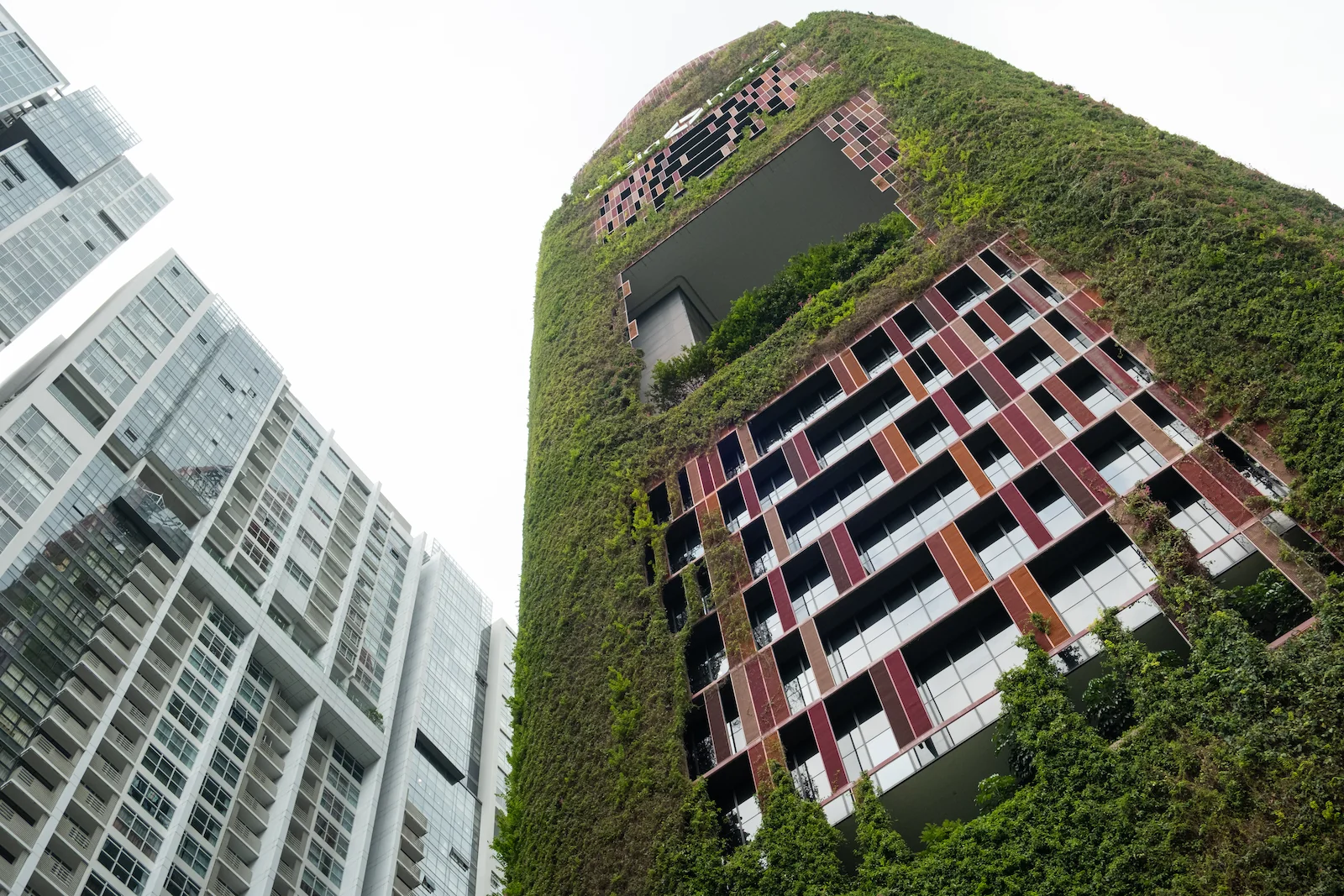 Artificial cooling remains the dominant means of regulating indoor temperatures in Singapore, despite decades of urban greening efforts to incorporate vegetation into its urban fabric.