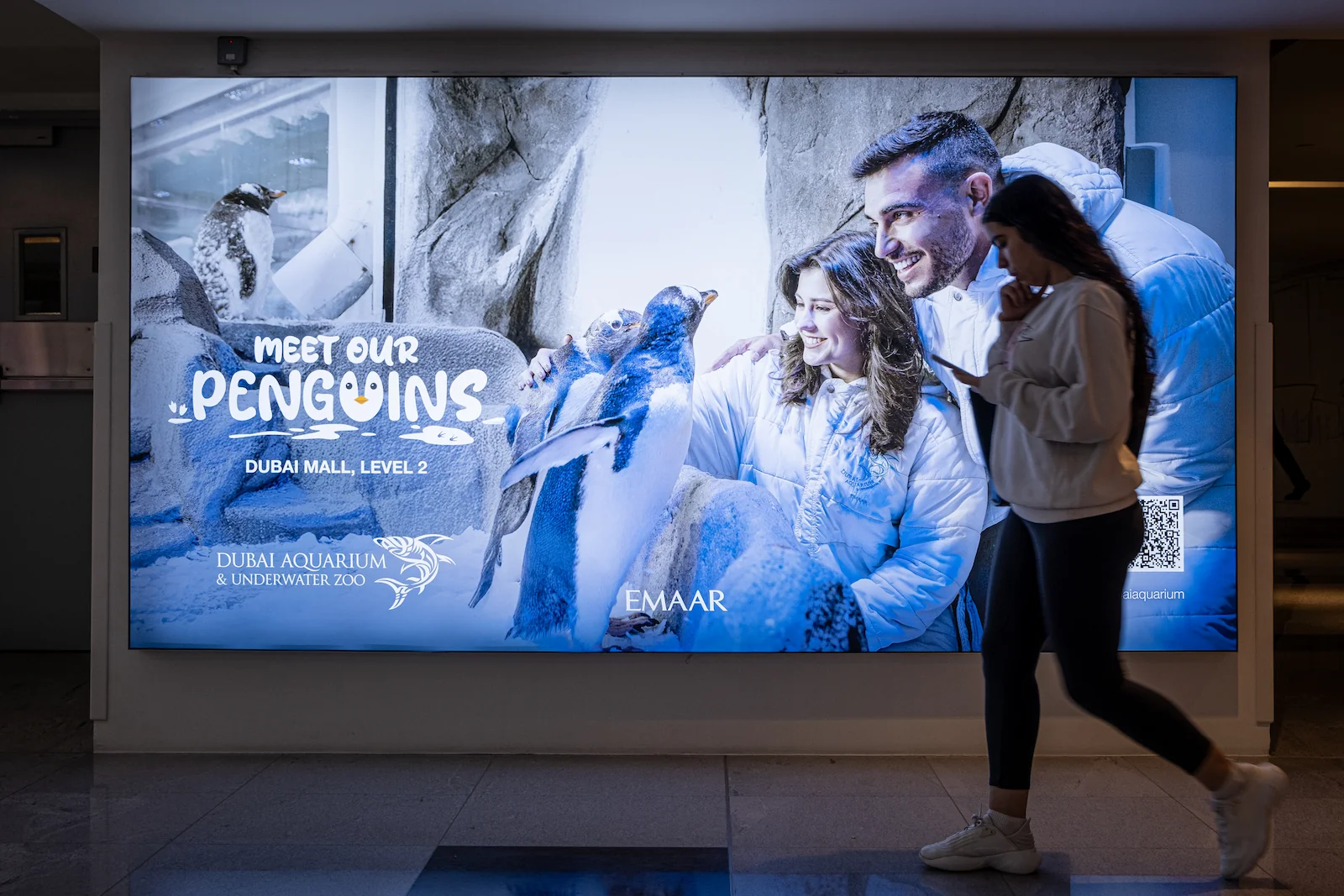 An advertisement promotes encounters with penguins in Dubai, a desert emirate in West Asia.