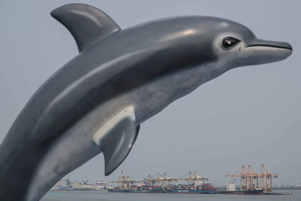 Cargo ships routinely collide with marine mammals, killing an estimated 18,000 and 25,000 whales each year. The threat is exacerbated by ship noise and ocean acidification.
