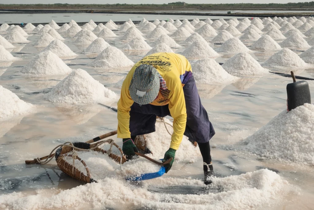 Salt is a critical raw material in industrial processes, with about 14,000 uses identified. Yet, mixed with sea salt harvested in Southeast Asia are microplastics now present in seawater across the globe.